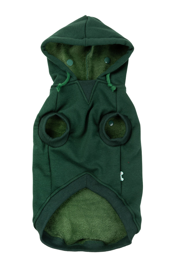 Flash hoodie - Fuzzyard
