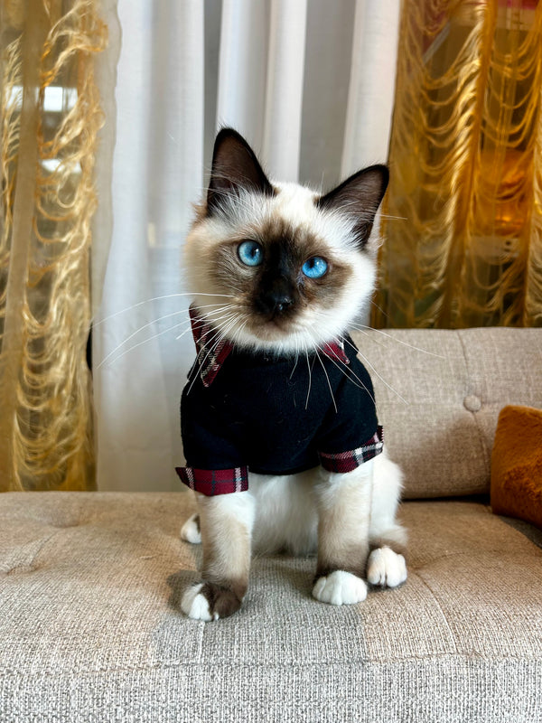 Birman