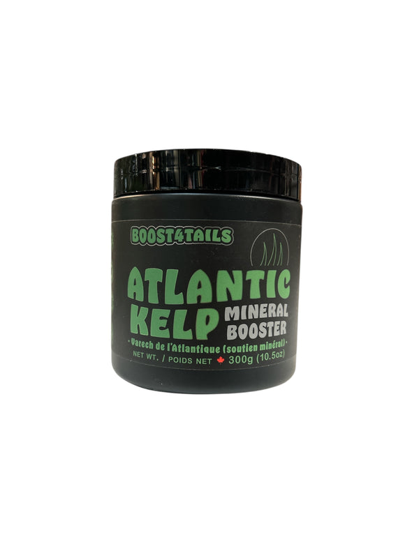 Atlantic-kelp - Boost4tails