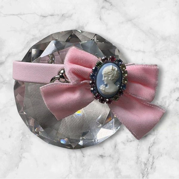 Caméo -Charlotte's Dress