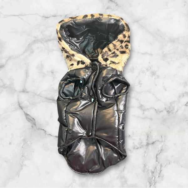 Delphine - Charlotte's Dress