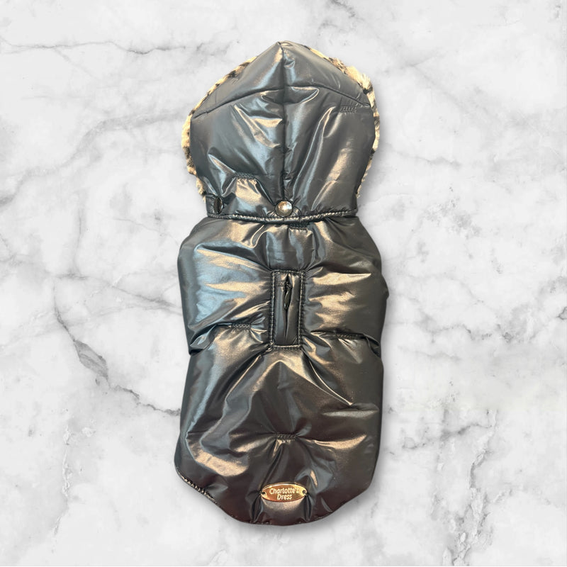 Delphine - Charlotte's Dress