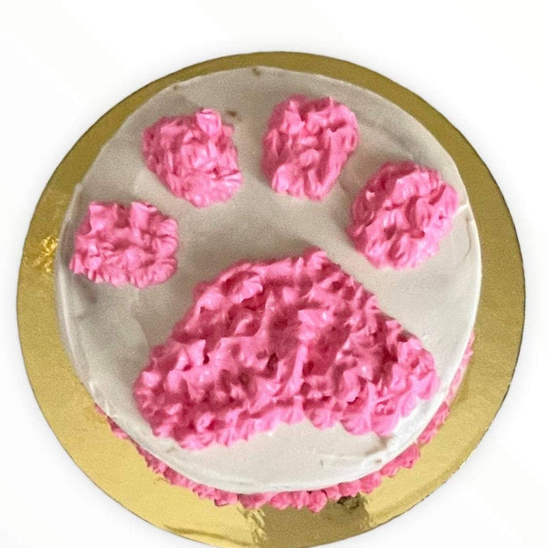 Dog party cake
